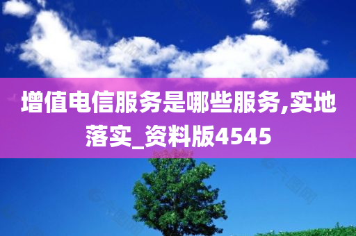 增值电信服务是哪些服务,实地落实_资料版4545