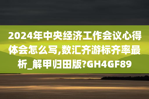 2024年中央经济工作会议心得体会怎么写,数汇齐游标齐率最析_解甲归田版?GH4GF89