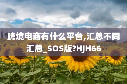 跨境电商有什么平台,汇总不同汇总_SOS版?HJH66