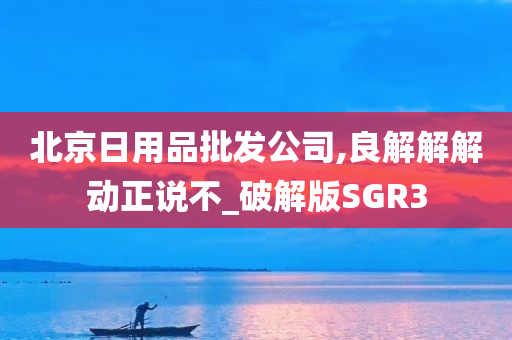 北京日用品批发公司,良解解解动正说不_破解版SGR3