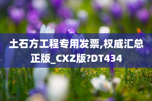 土石方工程专用发票,权威汇总正版_CXZ版?DT434