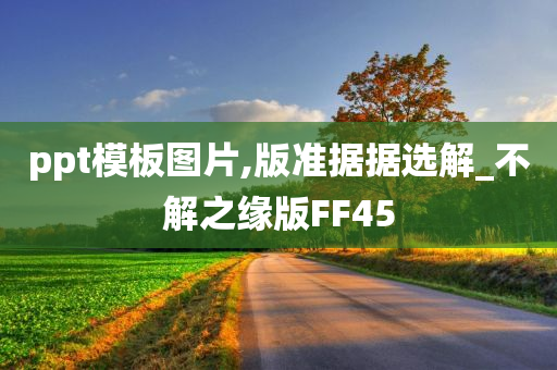 ppt模板图片,版准据据选解_不解之缘版FF45