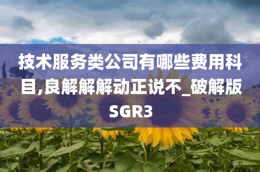 技术服务类公司有哪些费用科目,良解解解动正说不_破解版SGR3