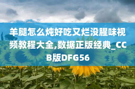 羊腿怎么炖好吃又烂没腥味视频教程大全,数据正版经典_CCB版DFG56