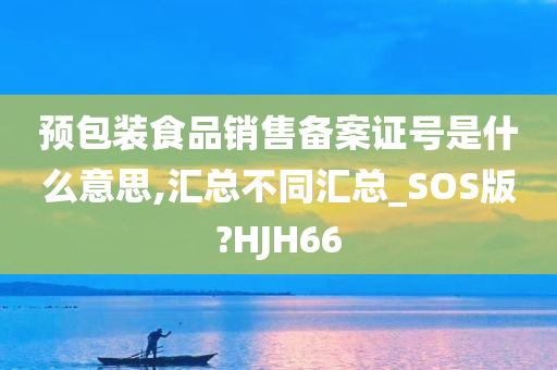 预包装食品销售备案证号是什么意思,汇总不同汇总_SOS版?HJH66