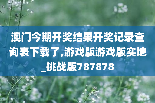 澳门今期开奖结果开奖记录查询表下载了,游戏版游戏版实地_挑战版787878