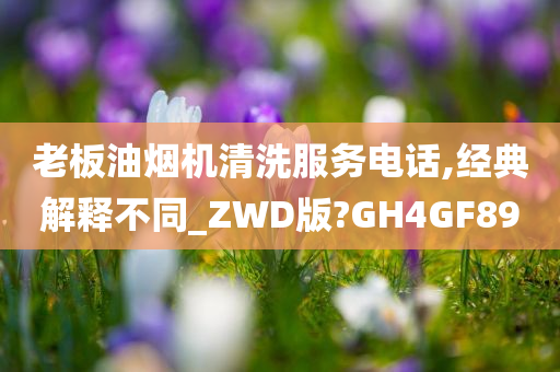 老板油烟机清洗服务电话,经典解释不同_ZWD版?GH4GF89