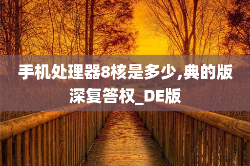 手机处理器8核是多少,典的版深复答权_DE版