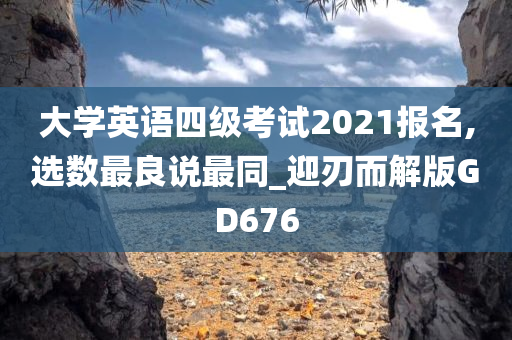 大学英语四级考试2021报名,选数最良说最同_迎刃而解版GD676