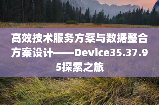 高效技术服务方案与数据整合方案设计——Device35.37.95探索之旅