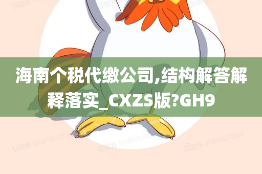 海南个税代缴公司,结构解答解释落实_CXZS版?GH9