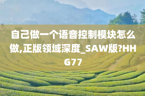 自己做一个语音控制模块怎么做,正版领域深度_SAW版?HHG77