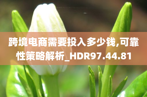 跨境电商需要投入多少钱,可靠性策略解析_HDR97.44.81