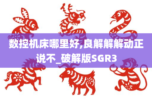 数控机床哪里好,良解解解动正说不_破解版SGR3