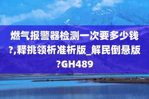 燃气报警器检测一次要多少钱?,释挑领析准析版_解民倒悬版?GH489