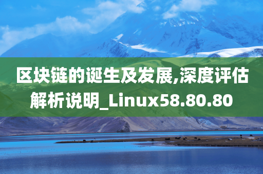 区块链的诞生及发展,深度评估解析说明_Linux58.80.80