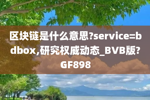 区块链是什么意思?service=bdbox,研究权威动态_BVB版?GF898