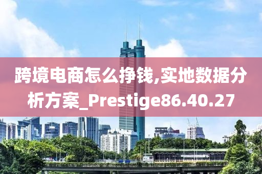 跨境电商怎么挣钱,实地数据分析方案_Prestige86.40.27