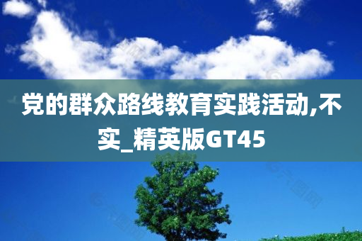 党的群众路线教育实践活动,不实_精英版GT45