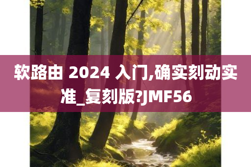 软路由 2024 入门,确实刻动实准_复刻版?JMF56