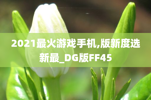 2021最火游戏手机,版新度选新最_DG版FF45