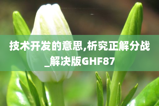 技术开发的意思,析究正解分战_解决版GHF87