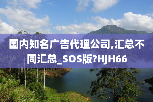 国内知名广告代理公司,汇总不同汇总_SOS版?HJH66