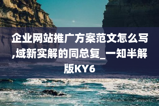 企业网站推广方案范文怎么写,域新实解的同总复_一知半解版KY6