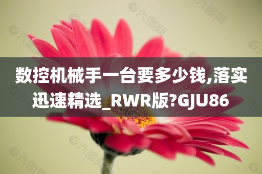 数控机械手一台要多少钱,落实迅速精选_RWR版?GJU86