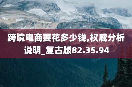 跨境电商要花多少钱,权威分析说明_复古版82.35.94