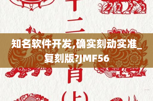 知名软件开发,确实刻动实准_复刻版?JMF56