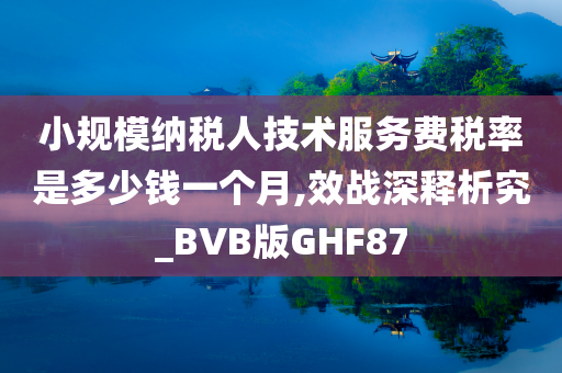 小规模纳税人技术服务费税率是多少钱一个月,效战深释析究_BVB版GHF87