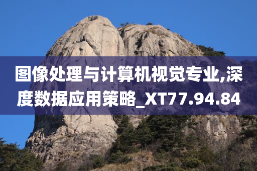 图像处理与计算机视觉专业,深度数据应用策略_XT77.94.84