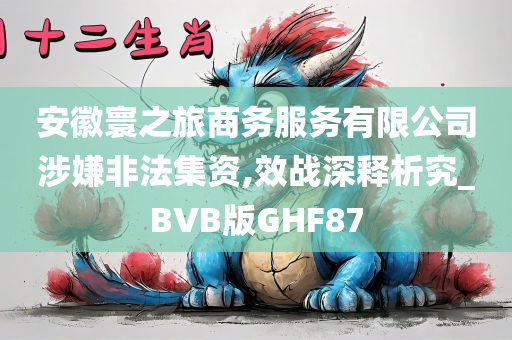 安徽寰之旅商务服务有限公司涉嫌非法集资,效战深释析究_BVB版GHF87