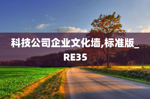 科技公司企业文化墙,标准版_RE35