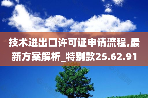 技术进出口许可证申请流程,最新方案解析_特别款25.62.91