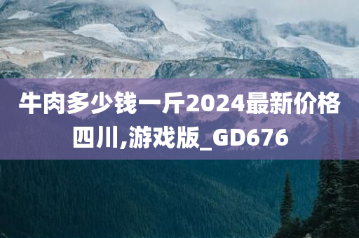 牛肉多少钱一斤2024最新价格四川,游戏版_GD676