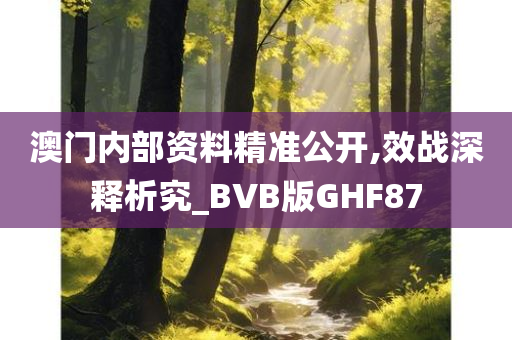 澳门内部资料精准公开,效战深释析究_BVB版GHF87