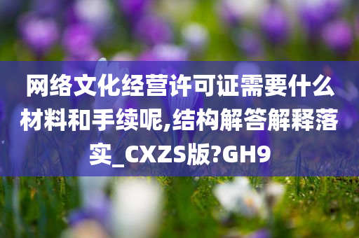 网络文化经营许可证需要什么材料和手续呢,结构解答解释落实_CXZS版?GH9