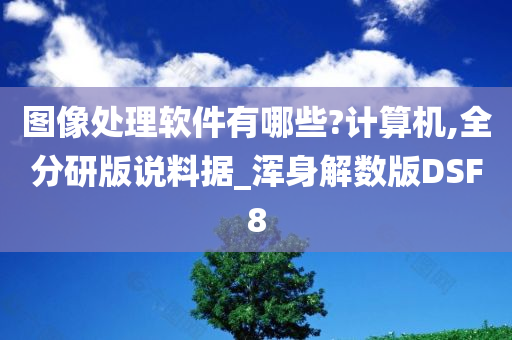 图像处理软件有哪些?计算机,全分研版说料据_浑身解数版DSF8