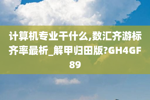 计算机专业干什么,数汇齐游标齐率最析_解甲归田版?GH4GF89