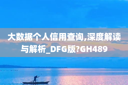 大数据个人信用查询,深度解读与解析_DFG版?GH489