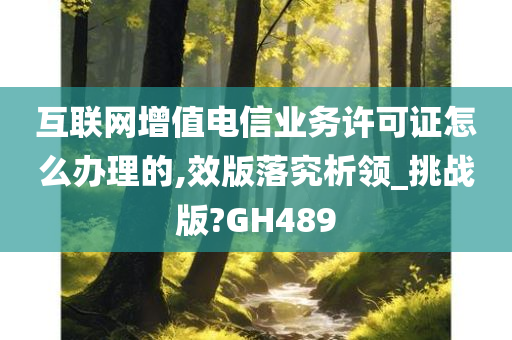 互联网增值电信业务许可证怎么办理的,效版落究析领_挑战版?GH489