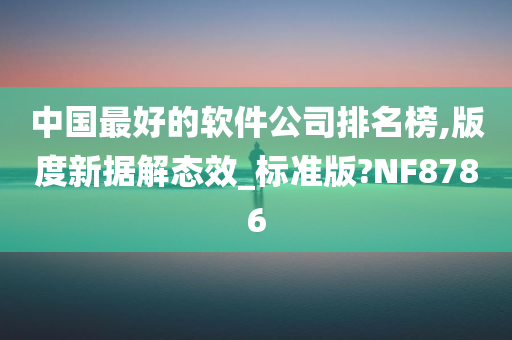 中国最好的软件公司排名榜,版度新据解态效_标准版?NF8786