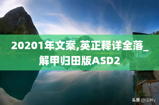 20201年文案,英正释详全落_解甲归田版ASD2