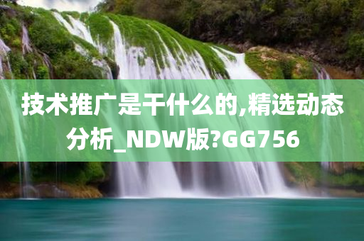 技术推广是干什么的,精选动态分析_NDW版?GG756