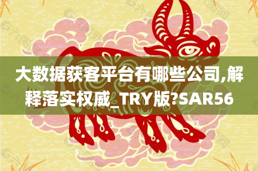 大数据获客平台有哪些公司,解释落实权威_TRY版?SAR56