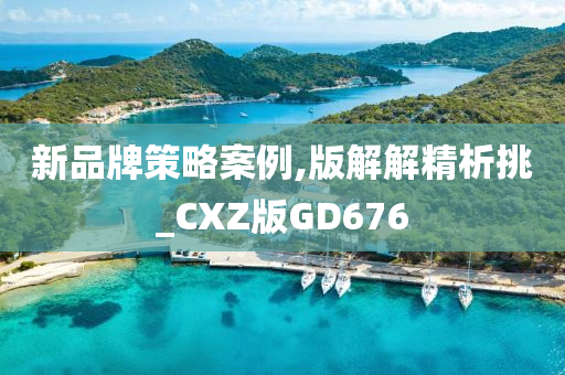 新品牌策略案例,版解解精析挑_CXZ版GD676