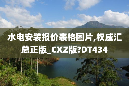 水电安装报价表格图片,权威汇总正版_CXZ版?DT434