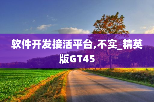 软件开发接活平台,不实_精英版GT45